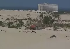 کیر وسواس 2, عكس سكسي متحرك سگ ماده
