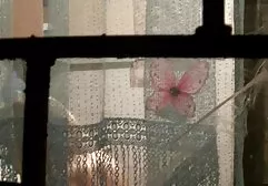بسته عکس سگسی متحرک کردگی, بازی با مادر دوست داشتنی
